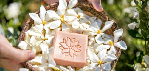 在生態友好的旅途中，愛上泰順 可持續旅游項目開發與管理的探索