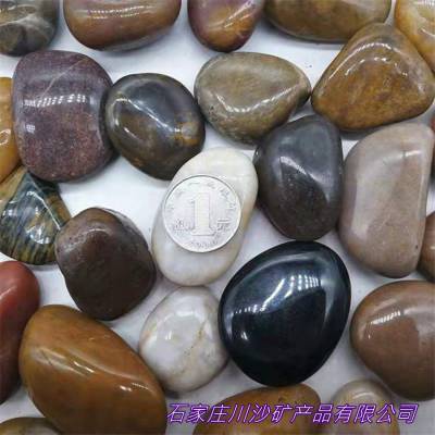 庭院鋪路與魚(yú)缸造景的絕佳選擇——川沙直銷(xiāo)黑色拋光雨花石